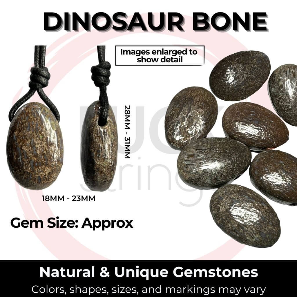 Assortment of polished Dinosaur Bone gemstones with noted size and natural variation - Luck Strings