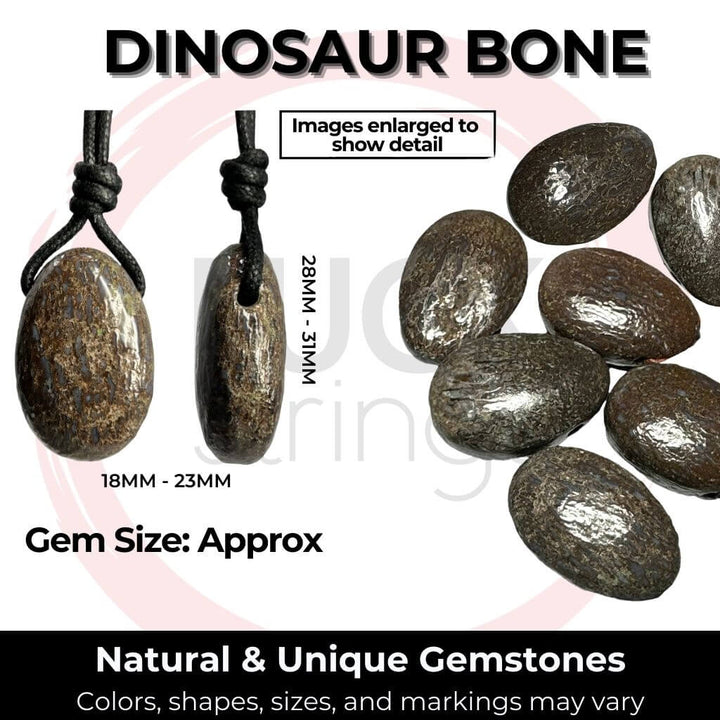 Assortment of polished Dinosaur Bone gemstones with noted size and natural variation - Luck Strings